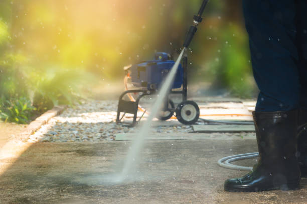 Animal Enclosure Cleaning in Germantown, IL